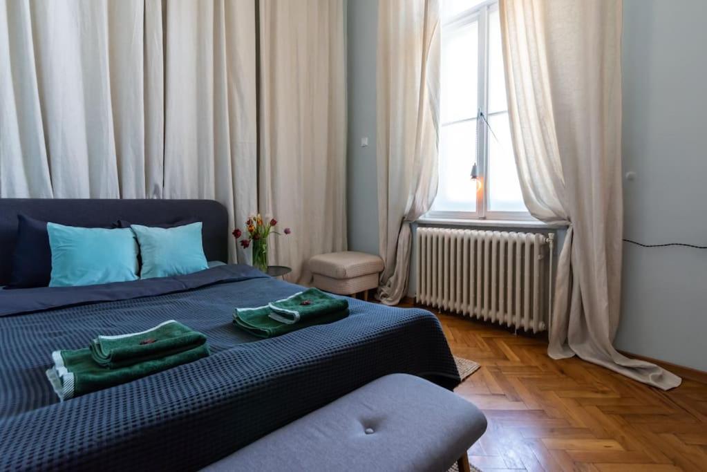 No.8: Lovely & Cosy 3-Room Heart Of The City Timişoara Extérieur photo