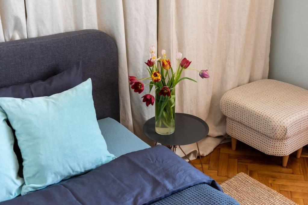 No.8: Lovely & Cosy 3-Room Heart Of The City Timişoara Extérieur photo