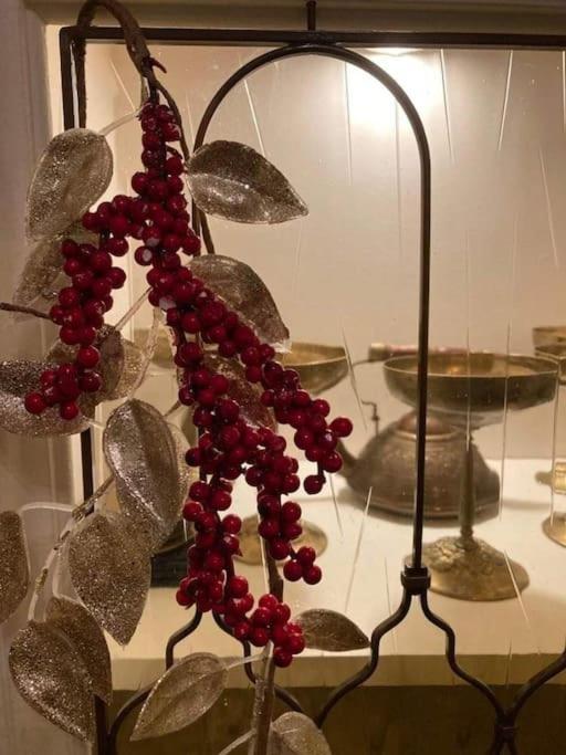 No.8: Lovely & Cosy 3-Room Heart Of The City Timişoara Extérieur photo