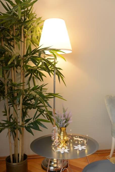 No.8: Lovely & Cosy 3-Room Heart Of The City Timişoara Extérieur photo