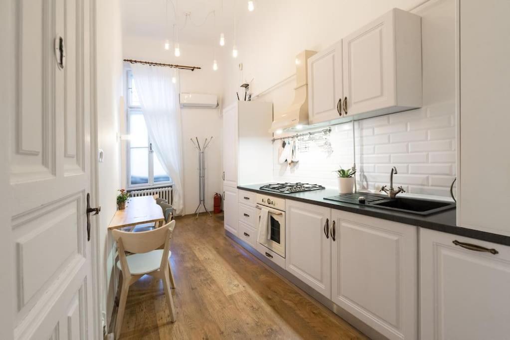 No.8: Lovely & Cosy 3-Room Heart Of The City Timişoara Extérieur photo